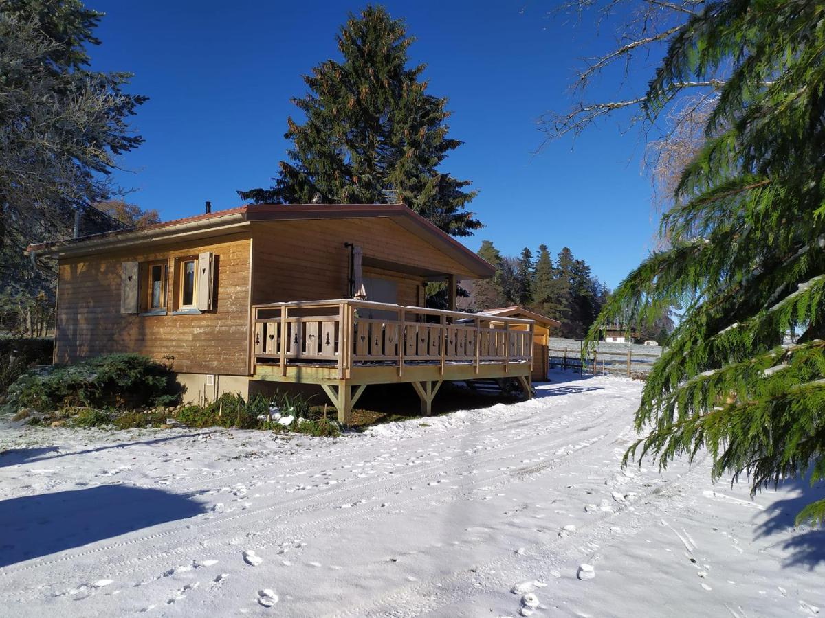 Chalet Du Spiemont Champdray Экстерьер фото
